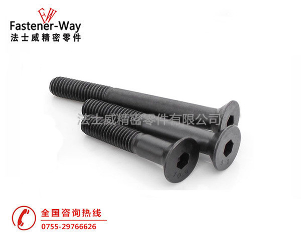 日本進(jìn)口平頭內(nèi)六角螺絲介紹 日本進(jìn)口平頭內(nèi)六角螺絲介紹