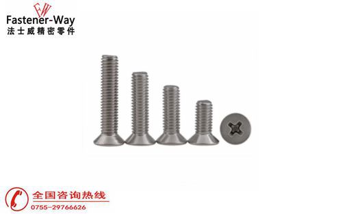 不銹鋼小螺絲 不銹鋼小螺絲