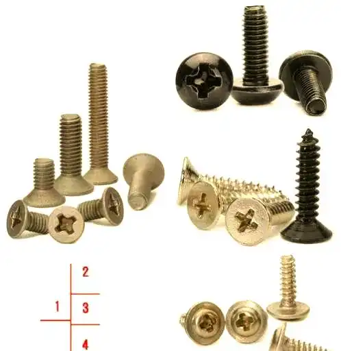 55134abd-89cf-4a41-bb3a-d66112deeea6 55134abd-89cf-4a41-bb3a-d66112deeea6