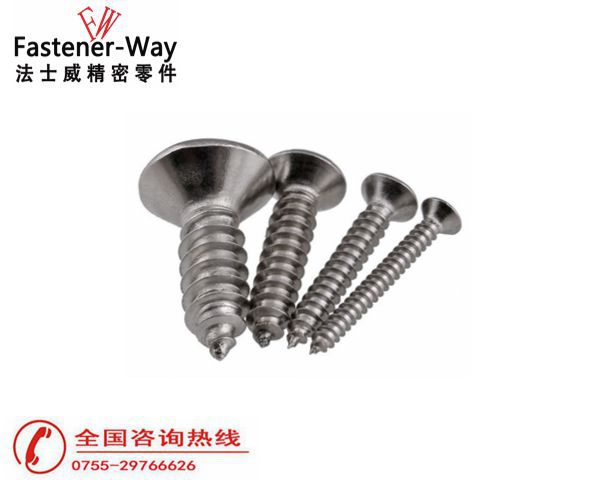 不銹鋼自攻螺絲釘